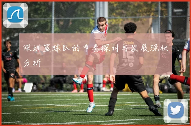 深圳篮球队的节奏探讨与发展现状分析