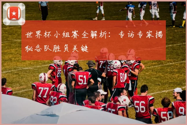 世界杯小组赛全解析:专访专家揭秘各队胜负关键