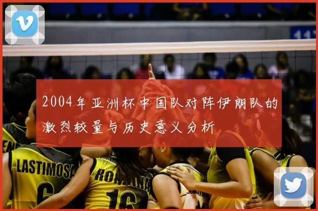 2004年亚洲杯中国队对阵伊朗队的激烈较量与历史意义分析