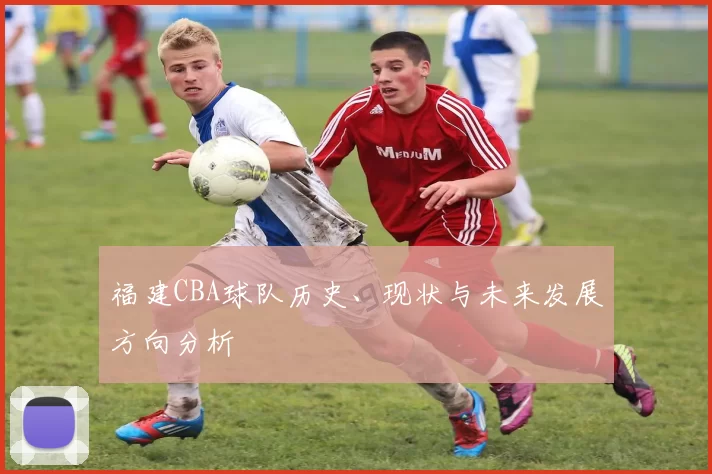 福建CBA球队历史、现状与未来发展方向分析