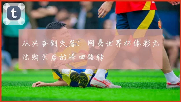 从兴奋到失落：网易世界杯体彩无法购买后的峰回路转