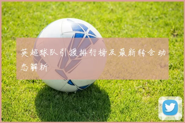 英超球队引援排行榜及最新转会动态解析