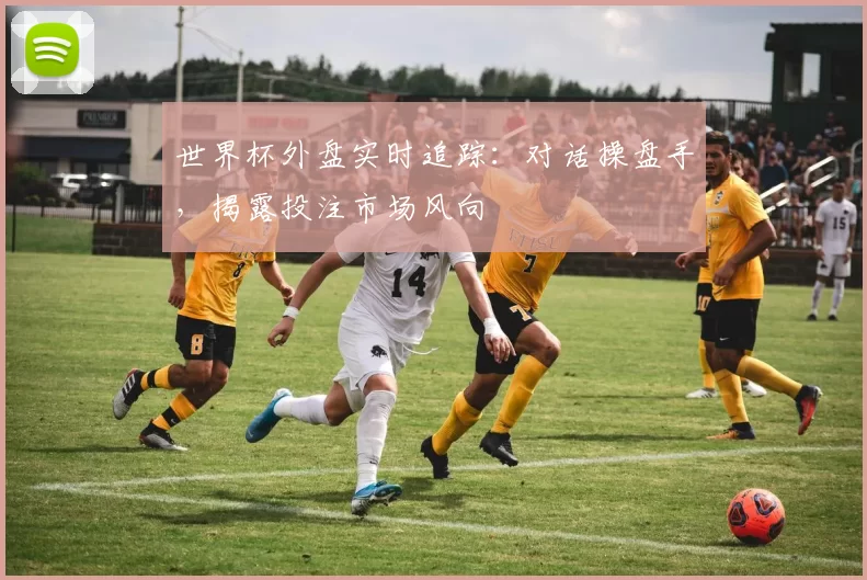 世界杯外盘实时追踪:对话操盘手,揭露投注市场风向