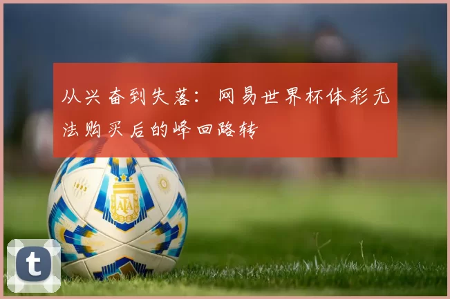 从兴奋到失落：网易世界杯体彩无法购买后的峰回路转