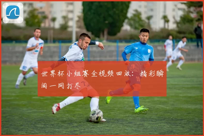 世界杯小组赛全视频回放:精彩瞬间一网打尽