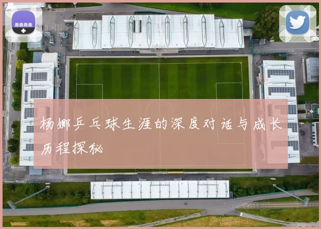 杨娜乒乓球生涯的深度对话与成长历程探秘