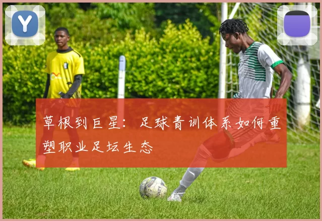 草根到巨星：足球青训体系如何重塑职业足坛生态
