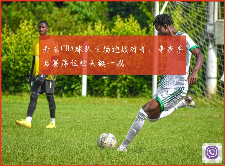丹东CBA球队主场迎战对手,争夺季后赛席位的关键一战