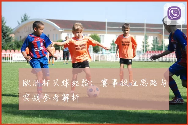 欧洲杯买球经验：赛事投注思路与实战参考解析