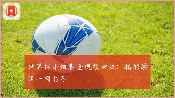 世界杯小组赛全视频回放:精彩瞬间一网打尽