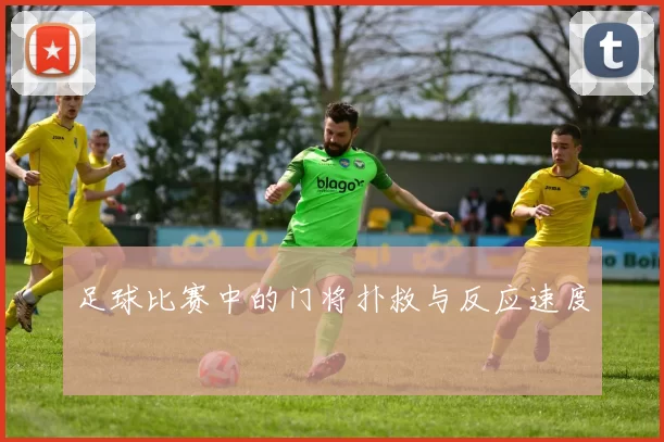 足球比赛中的门将扑救与反应速度