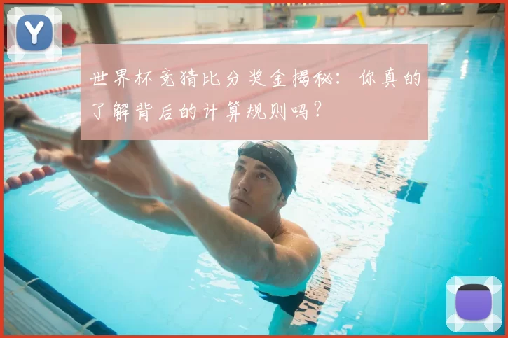 世界杯竞猜比分奖金揭秘:你真的了解背后的计算规则吗?