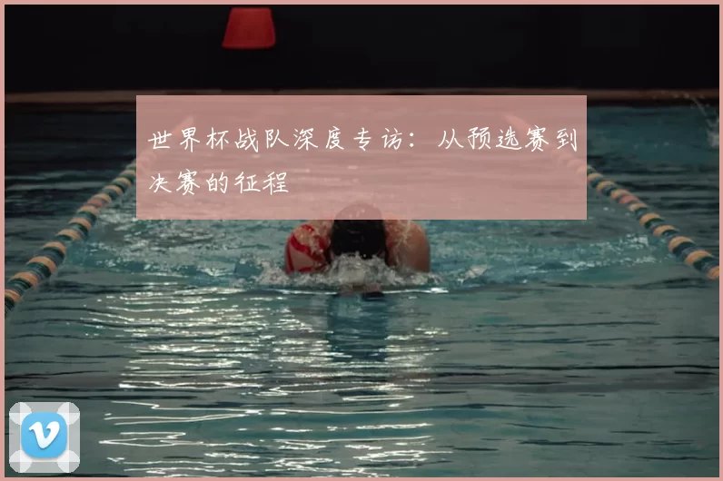世界杯战队深度专访:从预选赛到决赛的征程