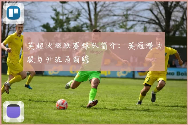 英超次级联赛球队简介：英冠潜力股与升班马前瞻