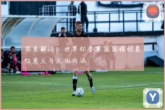 深度解读:世界杯参赛国国旗的象征意义与文化内涵