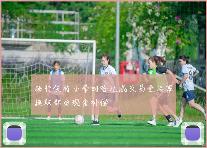 独行侠将小蒂姆哈达威交易至活塞换取部分现金补偿