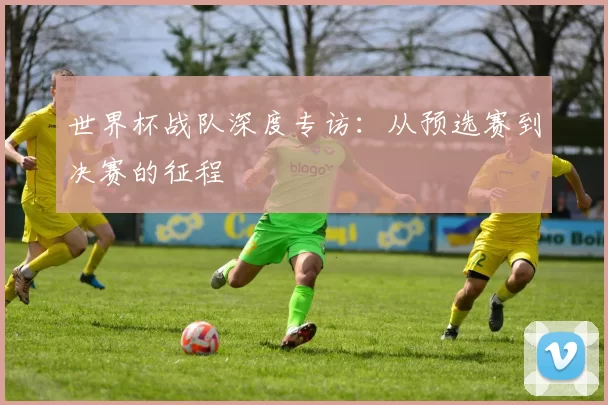 世界杯战队深度专访：从预选赛到决赛的征程