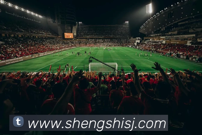 kaiyun平台生态图