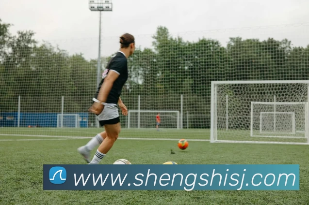 App Interface Preview